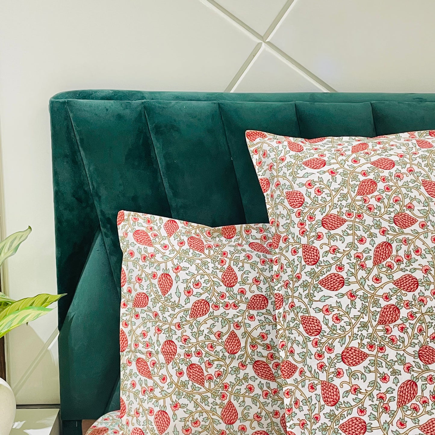 Pure Cotton Bedsheet | 210 TC |